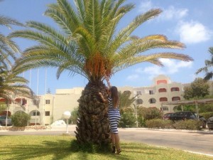 [Image: 4ddb0f1357852766.jpg]