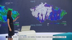 Obrázek