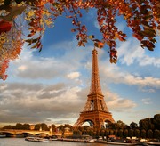 Эйфелева башня в осенних листьях / Eiffel Tower with autumn leaves in Paris 7c7f0a1322849885