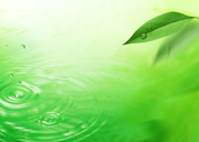 Вода, воздух и зелень / Water, Air and Greenery Edd4621322862886