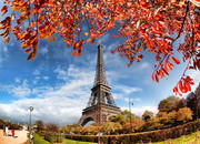 Эйфелева башня в осенних листьях / Eiffel Tower with autumn leaves in Paris 8086561322849950