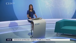 Obrázek