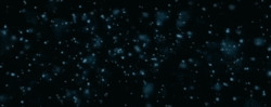 aa187e1325431574.gif