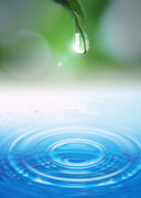 Вода, воздух и зелень / Water, Air and Greenery C6ff5f1322863147