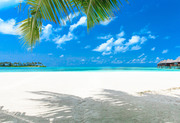 Тропический пляж на Мальдивах / Tropical beach in Maldives 4a2c941322864649