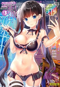 imagebam.com
