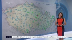 Obrázek