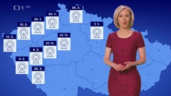 Obrázek