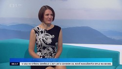 Obrázek