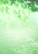 Вода, воздух и зелень / Water, Air and Greenery 8171441322862867