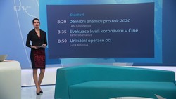 Obrázek