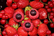 Спелые ягоды / Ripe berries  640f171352779626