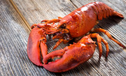 Жареный лобстер / Grilled lobster C6d18e1337918288