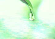 Вода, воздух и зелень / Water, Air and Greenery 3a8e121322862880