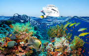 Тропические рыбы и коралловый риф / Tropical Fish and Coral Reef D4df2a1322864780