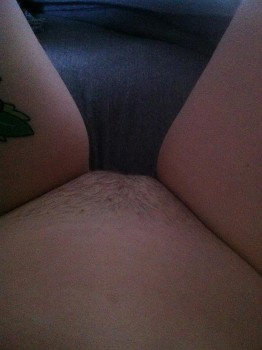 [Image: 4dc5d31359201127.jpg]