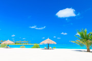 Тропический пляж на Мальдивах / Tropical beach in Maldives Fce4a71322864651