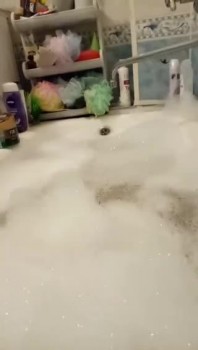 [Image: 8a23d11356778716.jpg]