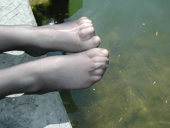 IPB Image