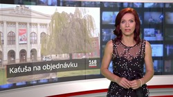 Obrázek