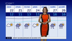 Obrázek