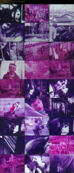 imagebam.com