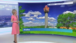Obrázek