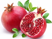 Яркие фрукты / Bright Fruit Ac14411352911108