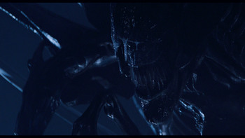 [Obrazek: 4f1b8a1325521593.jpg]