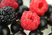 Спелые ягоды / Ripe berries  244ad31352779690