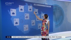 Obrázek