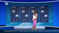 Obrázek