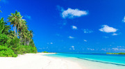 Тропический пляж на Мальдивах / Tropical beach in Maldives 8b3c1a1322864674
