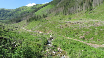 [Obrazek: d8eff41349371373.jpg]