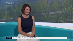 Obrázek