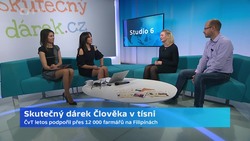 Obrázek