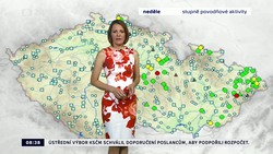 Obrázek