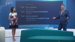 Obrázek