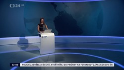 Obrázek