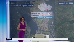 Obrázek