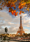 Эйфелева башня в осенних листьях / Eiffel Tower with autumn leaves in Paris 850ee21322849895