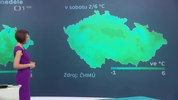 Obrázek