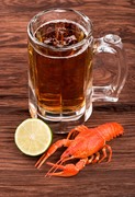 Пиво и морепродукты / Beer and seafood  39718f1337916317