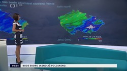 Obrázek