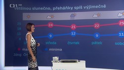 Obrázek
