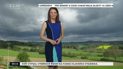 Obrázek