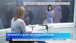 Obrázek