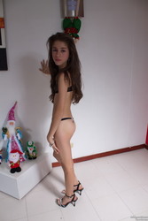 imagebam.com