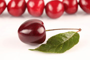 Спелые ягоды / Ripe berries  B8de531352779698