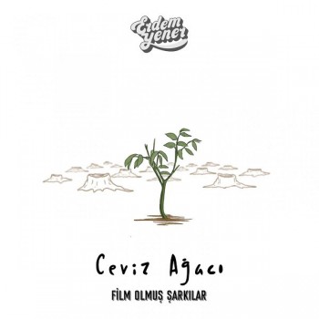 Erdem Yener - Ceviz Ağacı (2019) Single Albüm İndir Erdem Yener - Ceviz Ağacı (2019) Single Albüm İndir